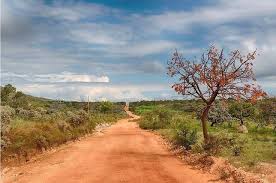 estradas de terra levam a lugares magnificos onde a simplicidade e o aconchego fazem bem a alma foto marcos la estrada de terra minas gerais brasil lugares estradas de terra levam a lugares