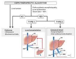 Read on and learn more about the causes, symptoms, and treatment of canine if a puppy has a congenital liver shunt, most commonly he will some signs by six months of age. Clinical And Radiologic Manifestations Of Congenital Extrahepatic Portosystemic Shunts A Comprehensive Review Radiographics