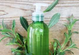 Recettes Shampoing A L Huile Essentielle De Sauge Sclaree Aroma Zone Sauge Sclaree Shampoing Huiles Essentielles