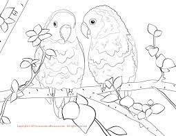 Download this adorable dog printable to delight your child. Love Birds Coloring Pages Coloring Home