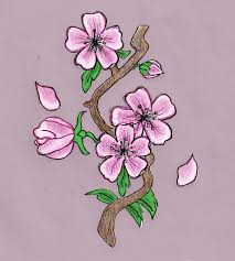 A 1″ flat brush (or similar size), purple & white paint. Cherry Blossom Drawing By Hellokitten20 On Deviantart
