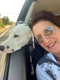 Dalmatian ride or drive just thought this was so pretty.