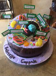 We did not find results for: Animal Cell Cake Cell Model Animal Cell Animal Cells Model
