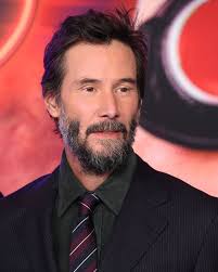 This person posted a monstera albo