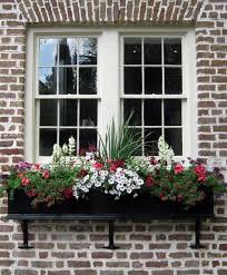 Charleston S Wonderful Window Boxes Window Boxes Window Box Flowers Window Boxes Flower Boxes