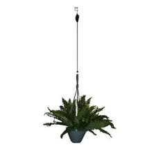 Bird Feeder Pulley System Riverstone Pulley System For Hanging Plants And Bird Feeders 3 Pack Rsi P3 The Home Depot In 2020 Hanging Plants Plants House Plants Hanging