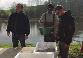 Politique arabe est une personne à son père arabe et en anglais natif. Civelle Grosse Operation De Repeuplement En Centre Bretagne
