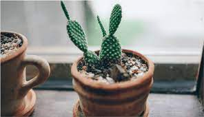 Make your dreams come true with ikea's planning tools. How To Choose The Right Furniture For Your Home Design Homestyler