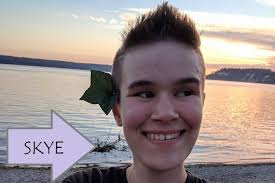 Fundraiser for Jeri Lehto by Daneil Newcomb : Top Surgery Fund for Skye!