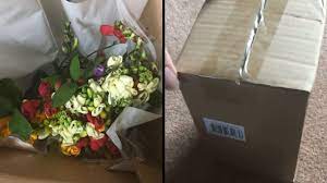 Check spelling or type a new query. Furious Customer Threatens Court Action Against Flower Firm After 50 Bouquet Turns Up Dead As Yet More Complain About Mother S Day Fails But Will They Get A Refund