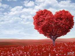 العاطفة أو العطف من الامور التي تؤثر كثيرا بي وبحياتي love wallpaper love images heart tree
