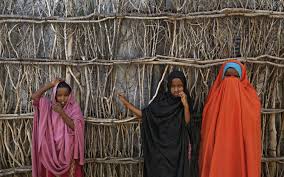 Vivamus dapibus mi ut elit fermentum tincidunt. How Indigenous Somalis In Kenya Caught In The Middle Opinion
