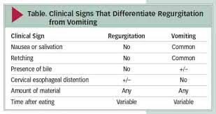 Dog Vomit Causes And Treatment