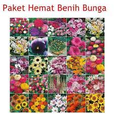 Terdengar masih asing bagi sebagian orang. Jual Paket Hemat Benih Bunga Bibit Online
