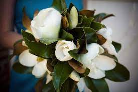 Magnolia florist is committed to offering only the finest floral arrangements and gifts, backed by service that is friendly and prompt. Southern Wedding Flowers Gardenia And Magnolia Details Mywedding