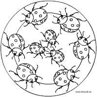 Käfer Spezial Im Kidswebde