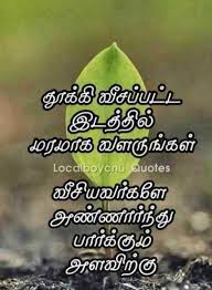 08 jul 2019 16879 81268. Motivation Quote Love Whatsapp Status Tamil Trending Memes Latest Whatsapp Status Trending Status