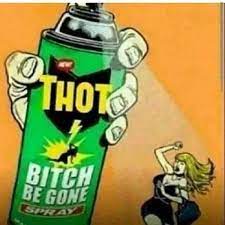 Begone Thot Know Your Meme