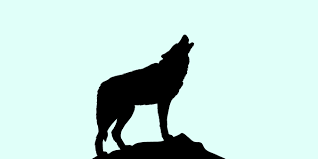 falda kurt gormek ne anlama gelir