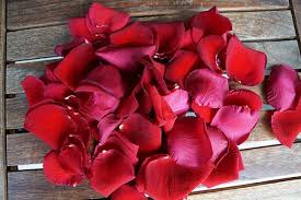 Gül suyu damıtılarak veya kaynatılarak olmak üzere iki şekilde yapılır. Gul Suyu Faydalari Nasil Yapilir Kullanilir 3 Farkli Gul Suyu Maskesi Nefis Yemek Tarifleri