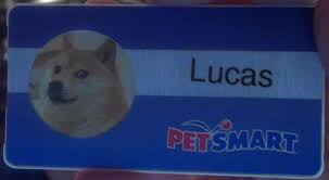 Petid.com is the root domain name for pet identification, it is the common place to start looking for the owner of a lost pet or pet information. Petsmart Employee Png Free Petsmart Employee Png Transparent Images 30299 Pngio
