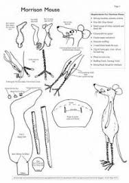 Ideeën over Naaldvilten