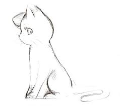This is a rough shape of the head and a muzzle. Untitled Cat Sketch Cute Cat Drawing Cute Anime Cat