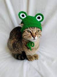 Frog Hat For Cat Frog Pet Costume Kitten Outfit Cat Etsy In 2021 Hat For Cat Frog Pet Pet Costumes