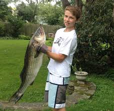 Fishing Report: Here's how to catch bonito, false albacore