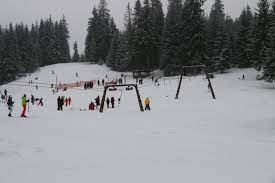 Toutes les informations sur le domaine skiable stana de vale, plan des pistes, vidéo, altitude, pistes, remontées mécaniques, commune près du domaine skiable : Stana De Vale Resort A Place Of Natural Heritage