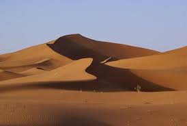 They were the perfect desert pack animals, able to carry 300 pounds and to journey 1 decade ago. Travellers Guide To Famous Deserts Wiki Travel Guide Travellerspoint