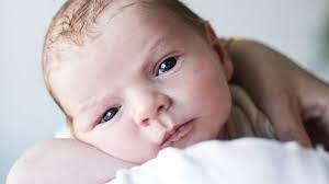 Hvis du har en dårlig dag vil disse 7 valpene som utforsker en liten dam for første gang definitivt lyse opp dagen din. 3 Uker Baby Babyverden No