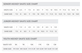 17 Unbiased Ice Skate Conversion Chart