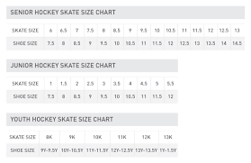 17 unbiased ice skate conversion chart