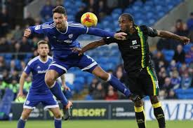 Norwich city norwich city nor. Cardiff City S Clash With Norwich City Moved Due To Wales Vs South Africa Rugby Fixture Wales Online