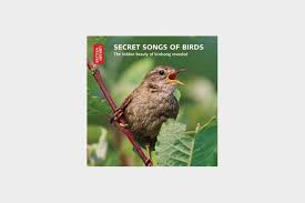 Buy original art worry free with our 7 day money back guarantee. Secret Songs Of Birds The Hidden Beauty Of Bird Song Revealed Birdguides