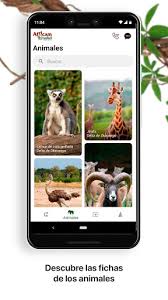 Extensión para buscar en google: Download Africam Safari Free For Android Africam Safari Apk Download Steprimo Com