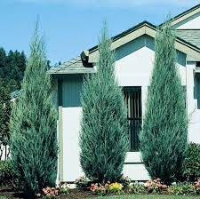 Maybe you would like to learn more about one of these? Pin On Landscaping