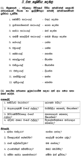 Tamil In Sinhala Part 3 Lesson Reading Handcraft