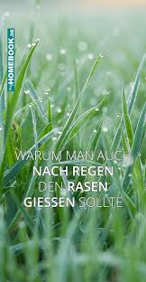 Gewusst Regen Erspart Einem Nicht Das Giessen Regen Rasen Walzen Rasen