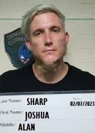 Man pleads guilty to possession, intent to distribute meth found in 'crotch  area'