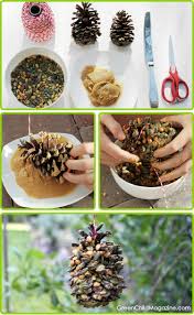 Diy Organic Nuts Seeds Birdfeeder Bird Feeder Craft Homemade Bird Feeders Diy Bird Feeder