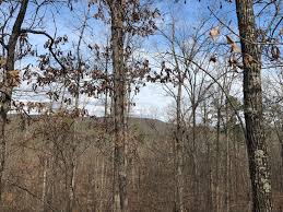 Land for sale in clinton arkansas. Properties For Sale In Clinton Arkansas