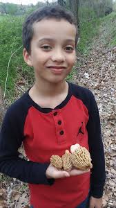 Youngest child's first morel mushroom find