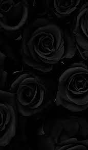 Sɴɪᴇɢᴅᴇᴊᴀ Black Colour Mood Aesthetic Black Flowers Wallpaper Black Roses Wallpaper Black Aesthetic Wallpaper