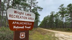 The city has quite a few areas perfect for viewing or safely interacting with alligators, including: Wright Lake Campground Apalachicola National Forest In Fl Youtube