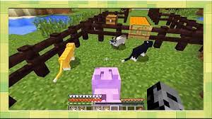 The animals mod for minecraft pe (pocket edition) is an application. Animals Mods For Minecraft Pe For Android Apk Download