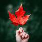 Leaf Printing event image