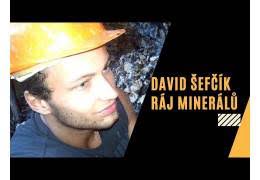 David Šefčík