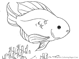fish coloring pages ile ilgili görsel sonucu